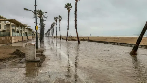 Flooded promenade with palm trees and beach under overcast skies.