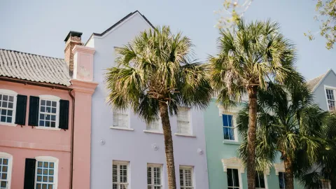 Vibrant pastel homes and palm trees on a sunny street in Charleston.