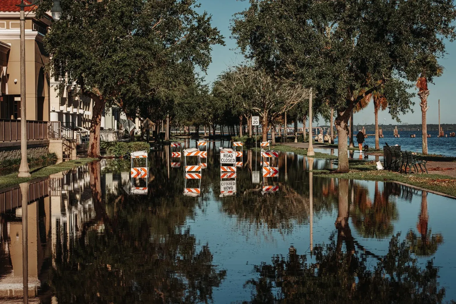 Floodwater covering a tree-lined coastal street with road-closed barricades reflected in the water.