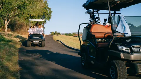 A relaxing scene of family leisure with golf carts on a sunny golf course path.