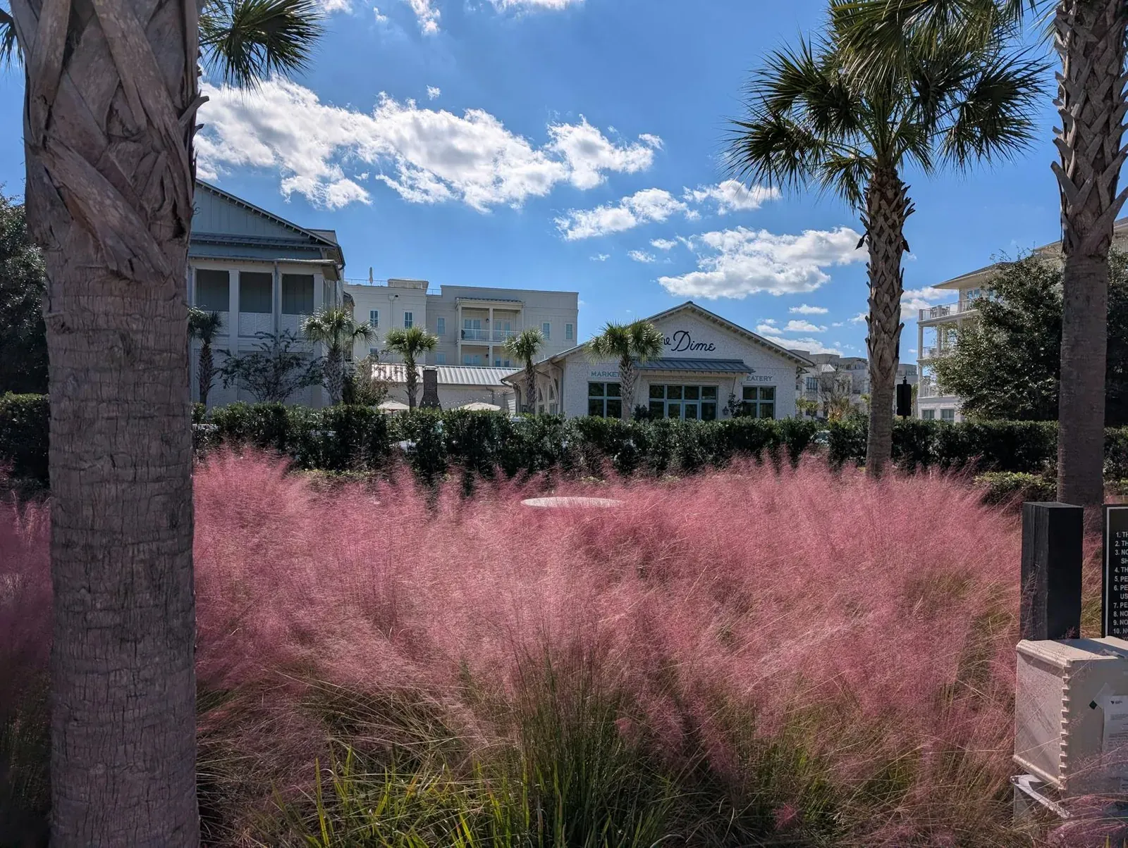 Captivating coastal architecture and pink muhly grass in Charleston, South Carolina.
