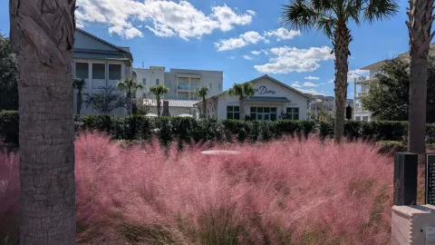 Captivating coastal architecture and pink muhly grass in Charleston, South Carolina.