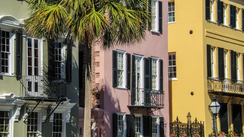 Vibrant historic buildings with palm tree in Charleston, capturing architectural charm.
