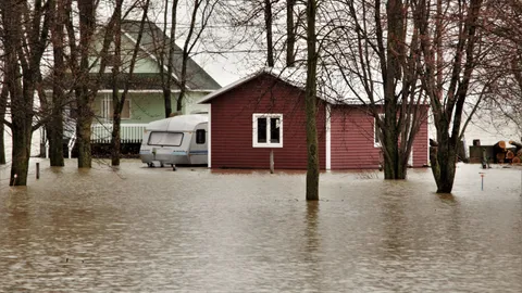 House and caravan surrounded by floodwaters among leafless trees in a natural setting.