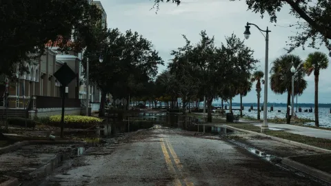 A flooded urban street with palm trees, buildings, and puddles, under a cloudy sky.