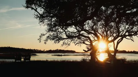 Beautiful sunset over Charleston marshes with silhouette of trees and water reflections.