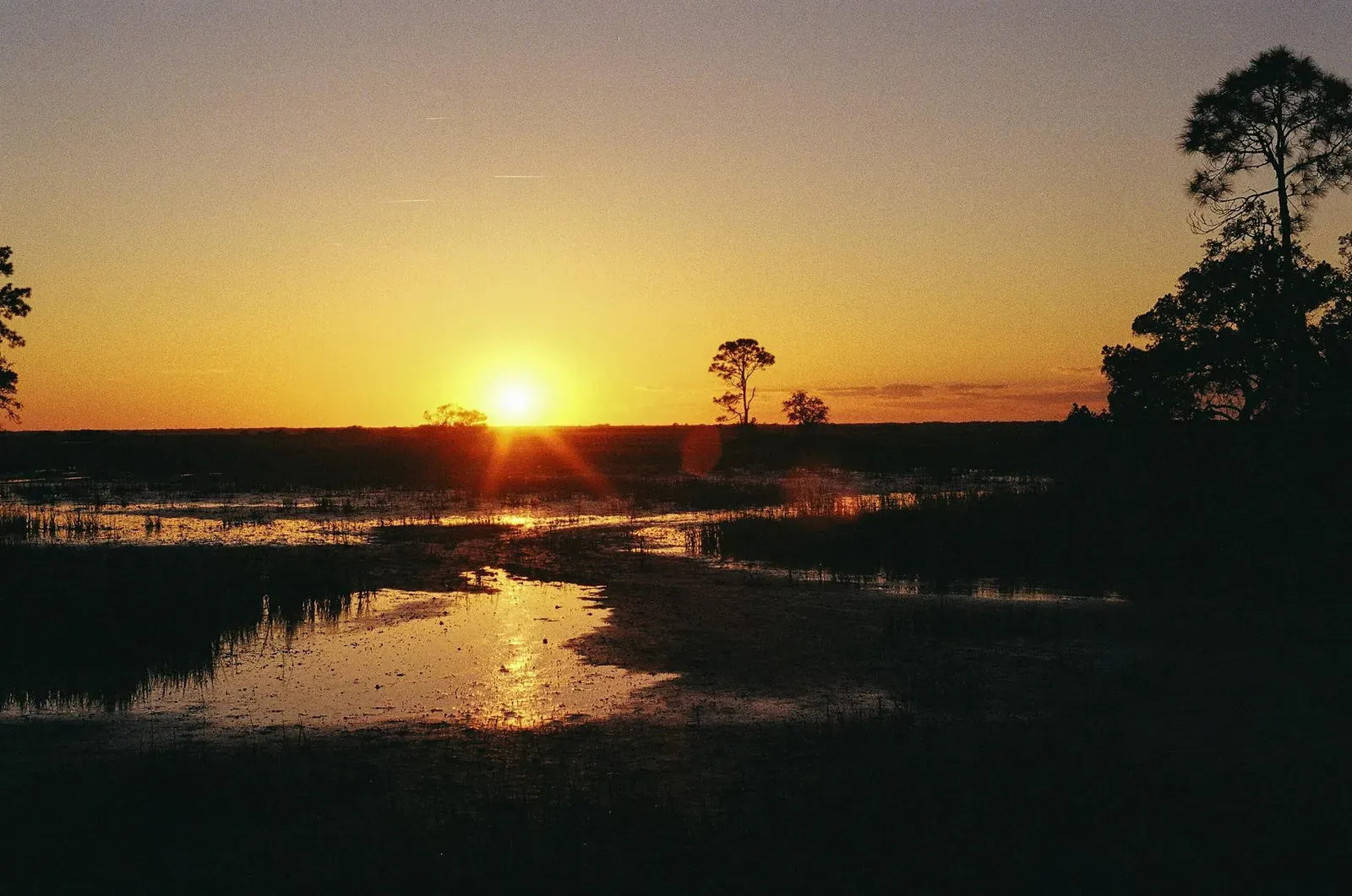 Serene sunset over marshland in Savannah, Georgia, capturing natural beauty and tranquility.