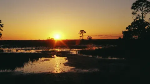 Serene sunset over marshland in Savannah, Georgia, capturing natural beauty and tranquility.