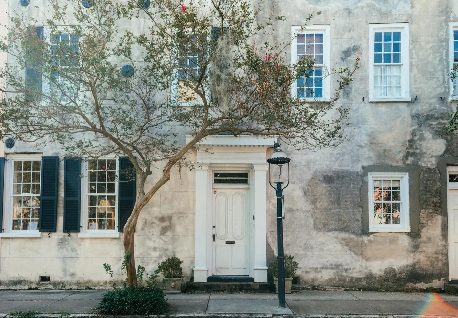 A beautiful historic house facade with lush tree and classic architecture features.