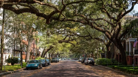 A picturesque view of a historic street lined with oak trees and classic architecture in Savannah, Georgia.